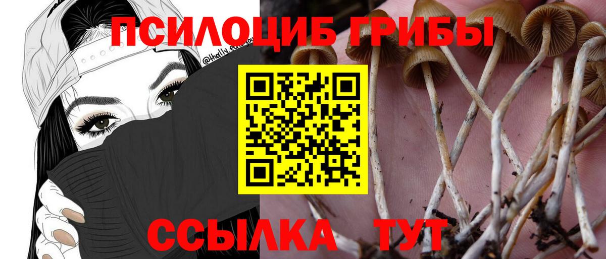 Галлюциногенные грибы мицелий Первоуральск
