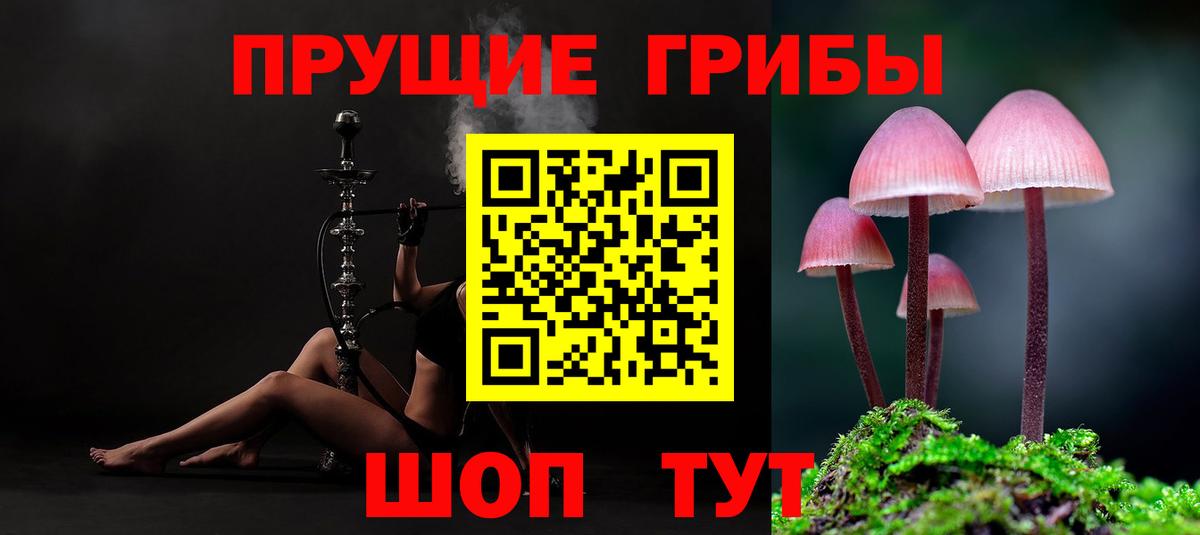 Галлюциногенные грибы Cubensis  Вход с VPN  Первоуральск 